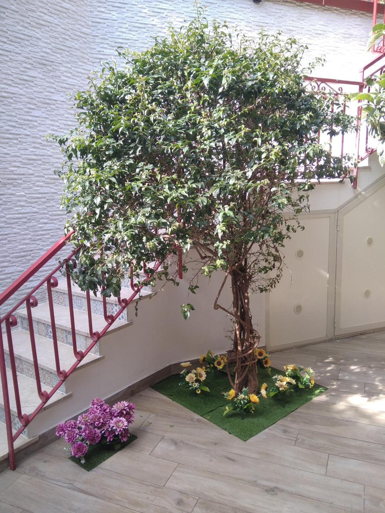 Apartamento Poggio Del Sole Letojanni Exterior foto